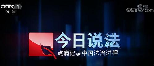 今日说法节目爆料视频 第3张 今日说法节目爆料视频 第3张